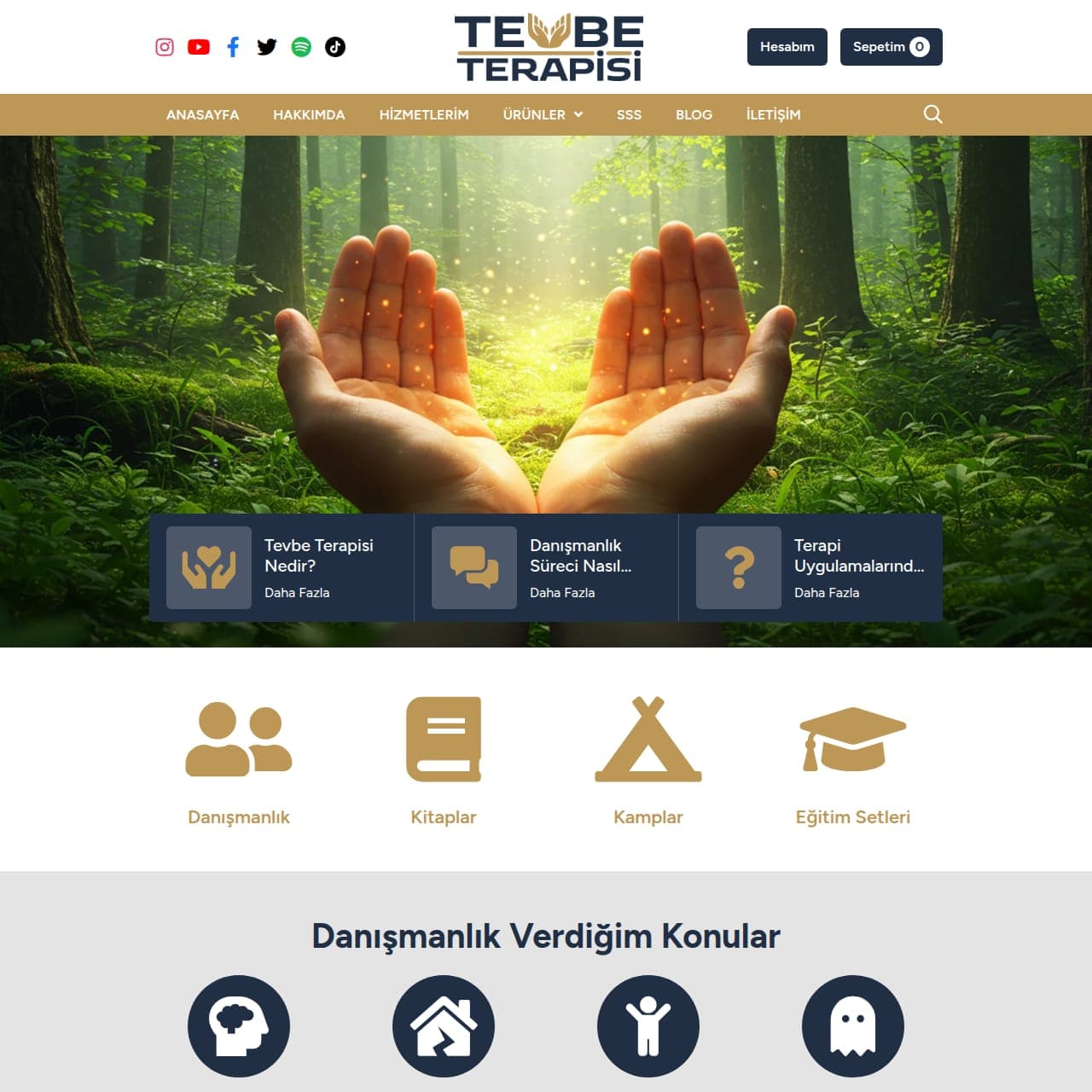Tevbe Terapisi kurumsal web sitesi proje görseli