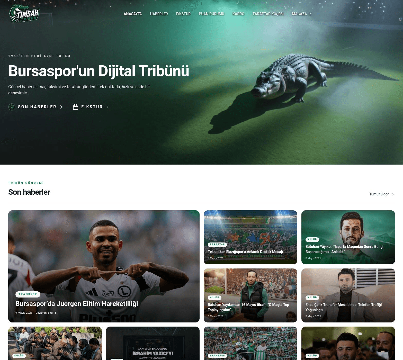 Timsah Tribün Bursaspor taraftar sitesi proje görseli